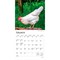 Chickens | 2026 7 x 14 Inch (Hanging) Monthly Mini Wall Calendar